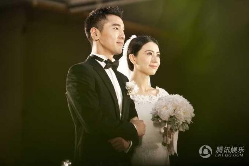 高圆圆赵又廷王菲谢霆锋杨幂刘恺威 明星表白