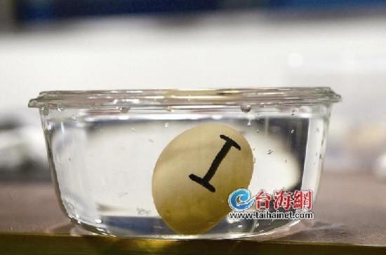 鸡蛋悬浮水中吃起来风险大 气室越大浮力也就