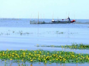 南京溧水石臼湖无想山竹海 夏季避暑地推荐