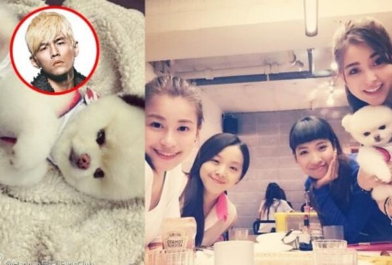 昆凌与<em>好姐妹</em>聚餐 爱犬被指与周杰伦撞脸(图)-