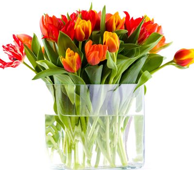 《真心 英雄 》同名 主题曲 MV首播 男神保驾护航