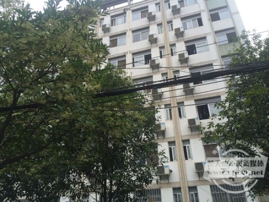 武大一男生跳楼 传言称其没拿到学位证(图)