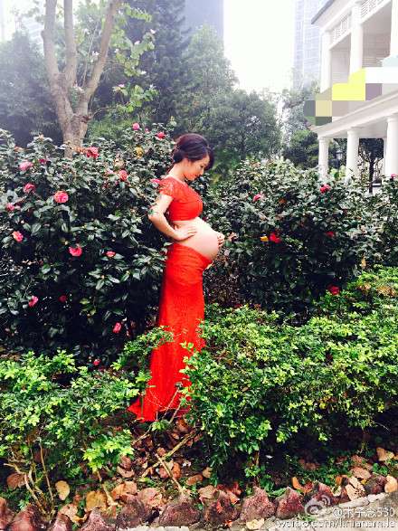 贾静雯怀孕7月大肚照曝光 看女星超美大肚照