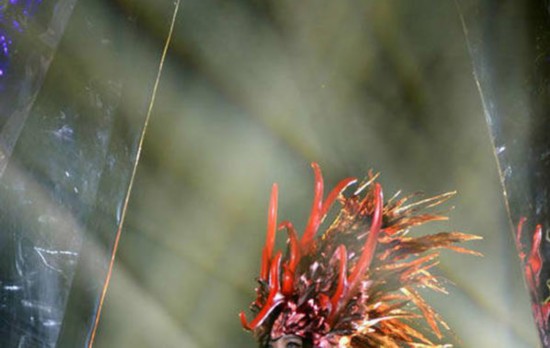 <em>张惠妹演唱会</em>热舞腰粗脸圆 网友直呼内心崩溃