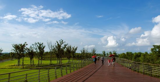 合肥这3个湿地公园已申报国家级湿地公园--安徽频道--人民网