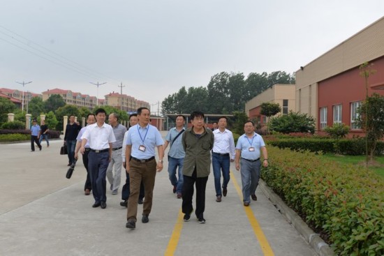 安徽省质监局局长朱琳到望江调研质量文化建设
