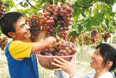 劳动创造美好生活--残疾人就业工作综述-中国学