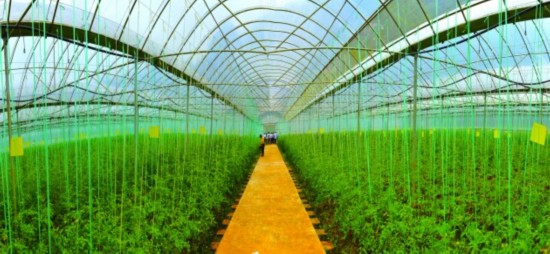 盘县gdp_盘县每年的GDP是多少啊 它在全国所有县中经济排名多少