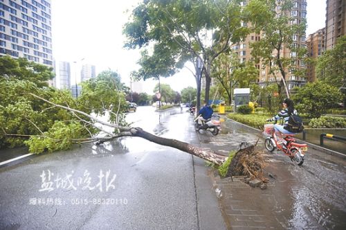 盐城防台风Ⅲ级应急响应结束 转移逾1.2万人