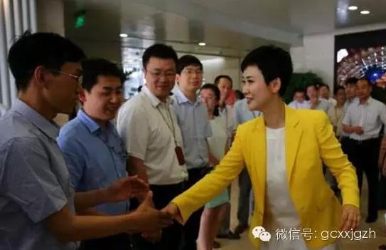 李小琳與中電國際董事長王炳華兩度交替職務