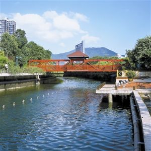 盐田港海鲜街_美化城区环境造福盐田居民