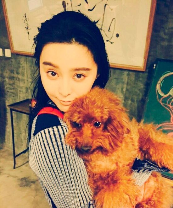 范冰冰晒抱狗萌照 素颜嘟嘴眼神宠溺(图)