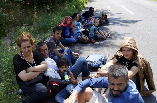 匈牙利士兵修边界围栏 欲阻拦塞尔维亚非法移