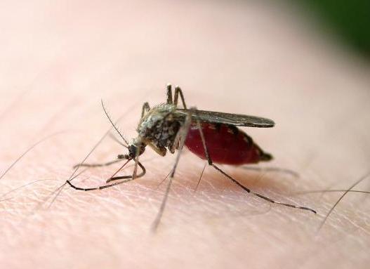 养生警惕:这十种保健常识竟然是错误的