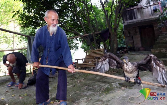 漓江上的中国式老人模特:撒网 撑竹排 学外语