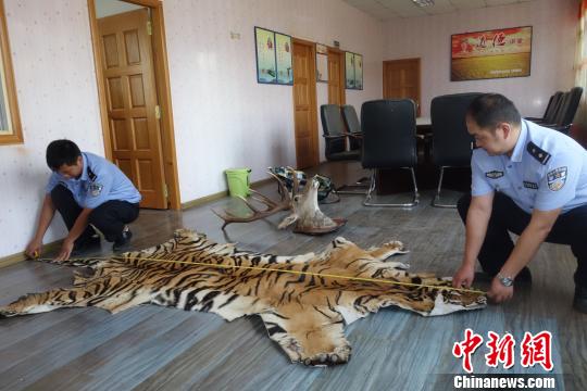 云南森警破获一起特大案 打掉边境野生动物制