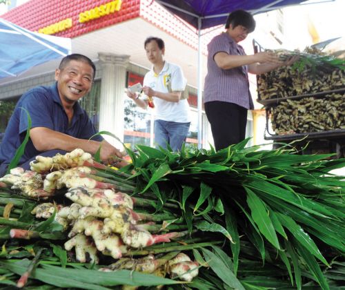 嘉兴新丰镇第八届汉塘文化节热闹开场