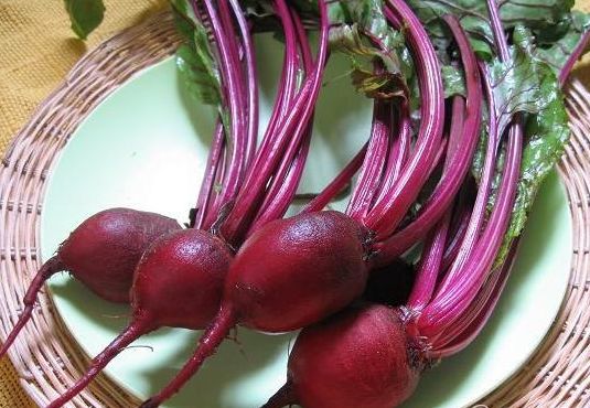 甜菜是人体清道夫 盘点10种廉价养生食物
