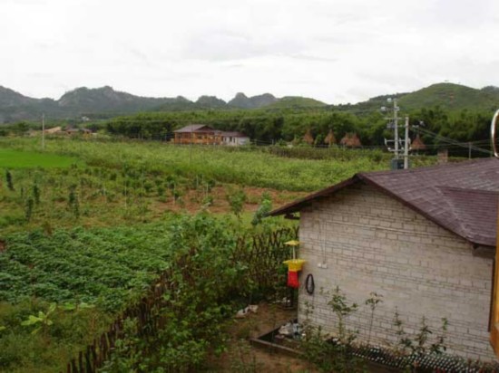 梧州市长洲区旅游部门打造辖区特色农家乐项目