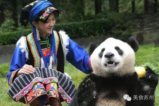 凤姐当上新闻主笔<em>奶茶妹孕检</em> 昔日网红现状--人