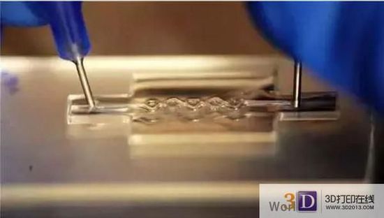 ok假體、骨骼還是活體？3D生物打印高低有別