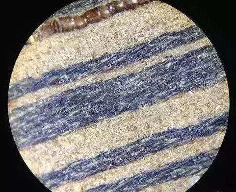 雞翅木
