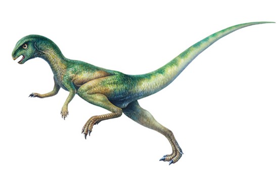 暑假去哪儿玩?河北博物院里漫游恐龙的世界(图