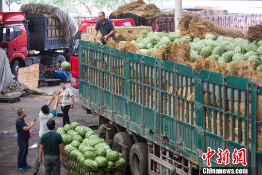 山西太原持续降雨 西瓜销售降温