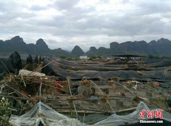 连城县有多少人口_复地 连城国际今日开盘现场气氛异常火爆(3)