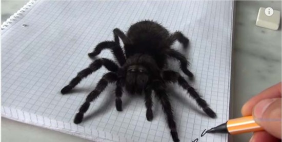 坑娃老爸画逼真3D大蜘蛛吓女儿 小小女汉子上脚猛踹(组图)--陕西频道--人民网