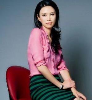 王健林李河君马云 中国十大超级富豪老婆气质美貌火拼（3）