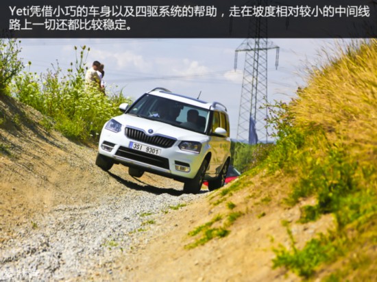 㾡Ұ Լ˹´Yeti