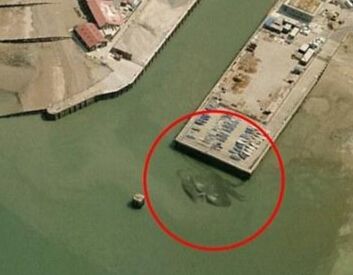 英国现15米长巨蟹 那些惊爆的巨型动物