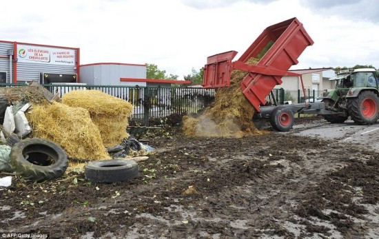 混乱的法国:农民喷粪、森林大火、非法移民偷