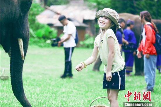 爸爸去哪儿第三季今晚剧透:萌娃与野象足球赛