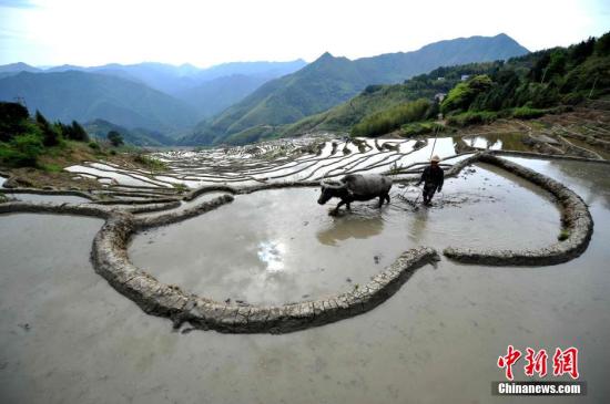 三部门启动政策性农业信贷担保体系建设工作
