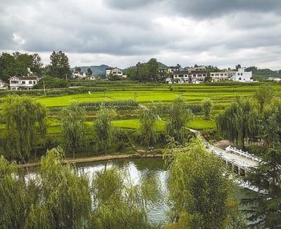 村民办摄影协会拍家乡(美丽乡村建设)