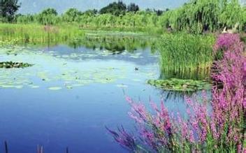 暑期旅游高峰期:稻城亚丁4日起每天限客5100