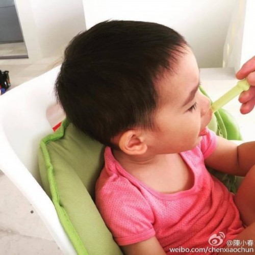 陈小春儿子大哥范