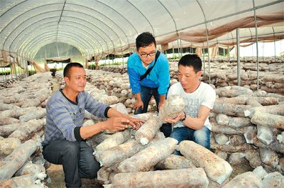 云南永平县发挥支部带动和党员带头作用