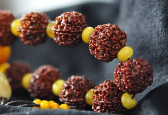 菩提子的前世今生,你知道多少?