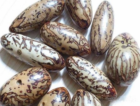 菩提子的前世今生,你知道多少?