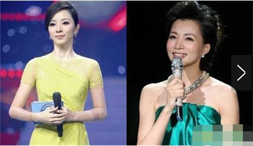央视春晚女主持下岗惊天内幕