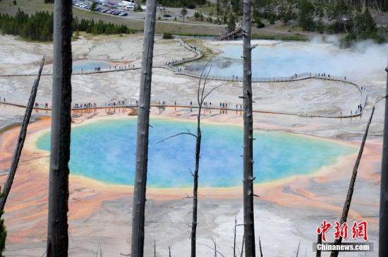 美黄石公园现熊吃人事件 园区搜捕肇事灰熊-