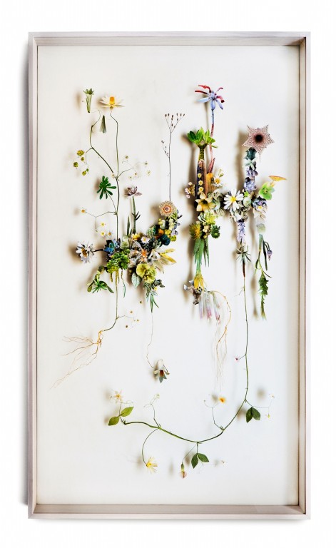 花艺工匠 ANNE TEN DONKELAAR 专访 细枝末节里隐藏的美