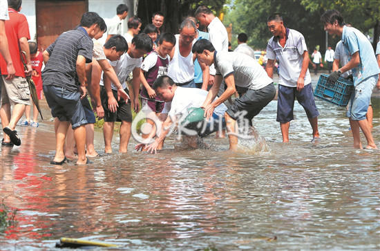 暴雨过后泉州道路积水 市民提篮子下河抓鱼