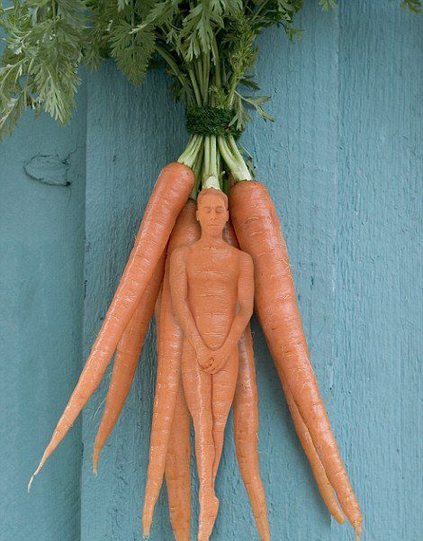 艺术家将人体模特装扮成各种食物(高清组图)