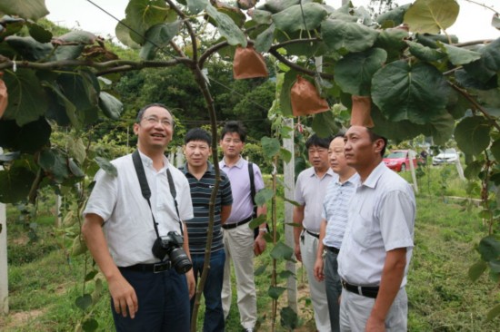 西北农林科技大学来金寨县进行产业帮扶