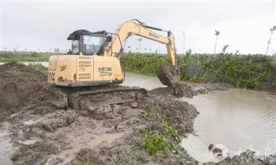 台风苏迪罗致大丰普降暴雨 多处基本农田受淹