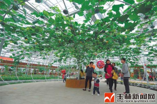 玉林市大力发展休闲观光农业